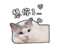 839681813