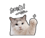 839681814