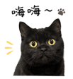 839682513