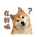 839683033