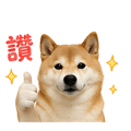 839683034
