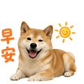 839683035