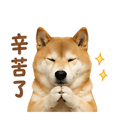839683038