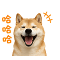 839683039