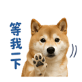 839683040