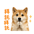 839683041