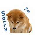 839683042