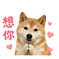 839683043
