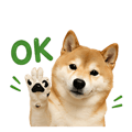 839683047