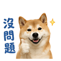 839683048