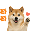 839683051
