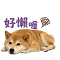 839683054