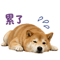 839683055