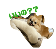 839684698