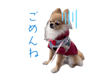 839684704