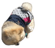 839685363