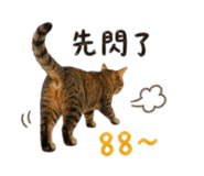 839686199