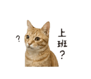 839686498