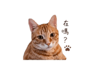 839686514