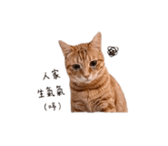839686517