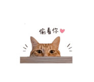 839686518