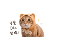 839686527