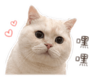 839687090