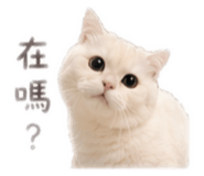 839687098