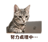 839687793