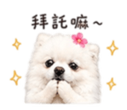 839688545