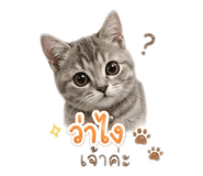 839688735