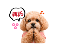 839688951