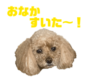 839690185