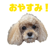 839690194