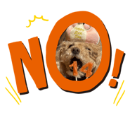 839690195