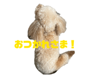 839690197