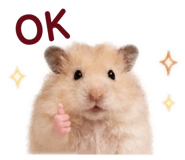 839690818