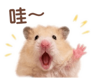 839690820