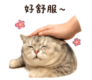 839690951
