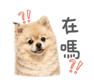 839691123
