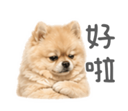 839691125