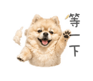 839691129