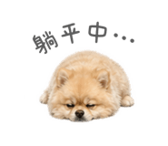 839691140