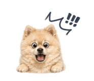 839691141