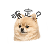 839691155