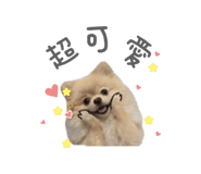 839691159