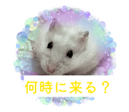 839692066