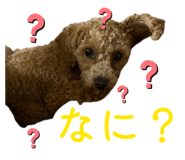 839692833