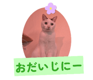 839693210