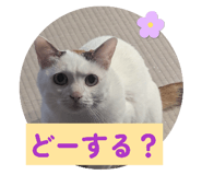 839693211